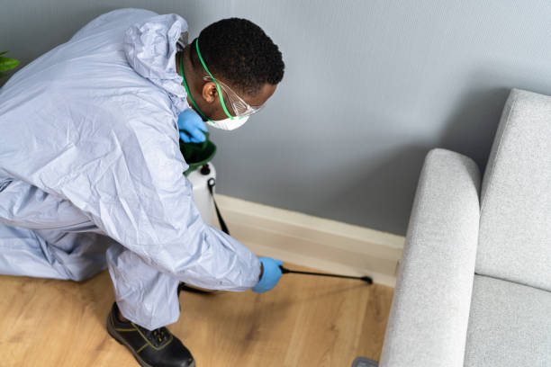 Best Fumigation Services  in Menomonie, WI